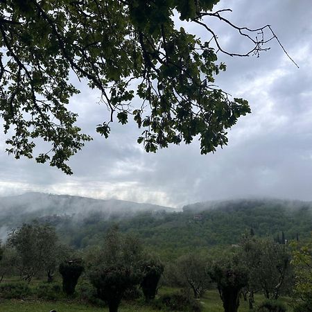 Podere Sagna كاستيلّينا إنْ كْيانت المظهر الخارجي الصورة