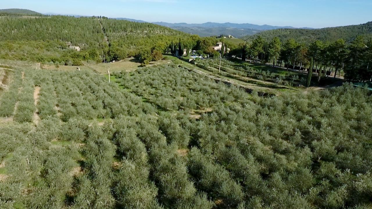 Podere Sagna كاستيلّينا إنْ كْيانت المظهر الخارجي الصورة